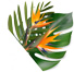Jardines Lucía - Paisajismo y Diseño de Jardines logo