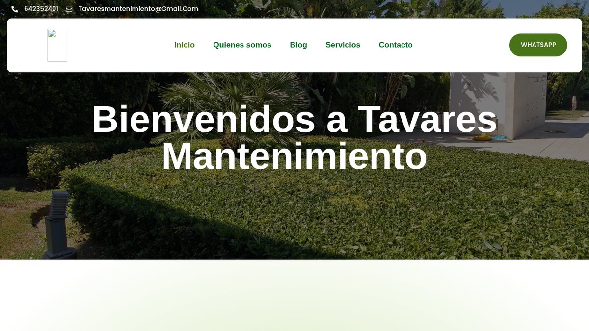 Tavares Mantenimientos